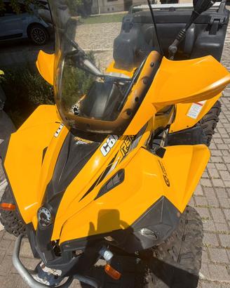 quad can am renegade 800