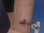 Immagine 4