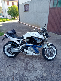 Buell x1 lightning