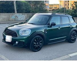 MINI Mini Countryman F60 - 2018