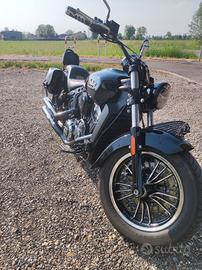 indian scout  