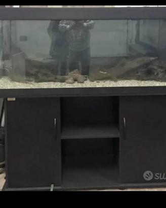 Acquario Juwel  capacità 400 litri + accessori