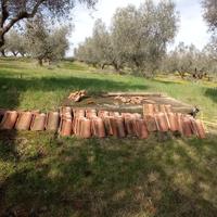 tegole in terracotta