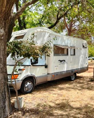 Camper Laika Ecovip 9.1 - Metti in moto e parti!