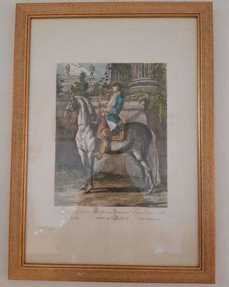 quadro cavallo
