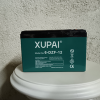 Coppia batterie a piombo