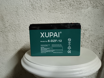 Coppia batterie a piombo