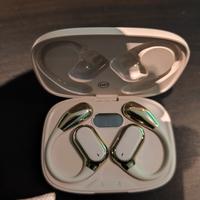 Auricolari per traduzione simultanea di varie ling