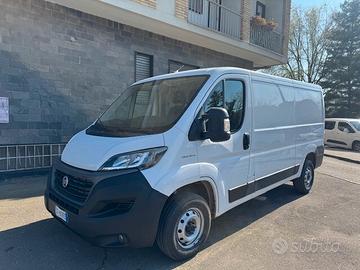 Fiat ducato tetto basso passo medio 2021 6d tenp m