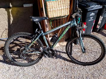 bicicletta da ragazzo contatti in privato 