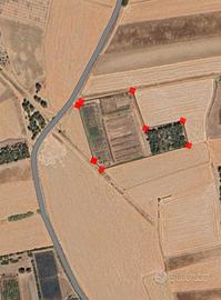 Terreno agricolo 12000 mq