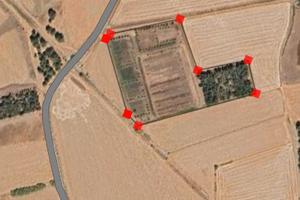 Terreno agricolo 12000 mq