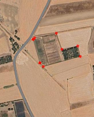 Terreno agricolo 12000 mq