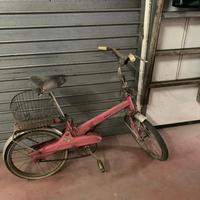 Graziella  bianchi vintage