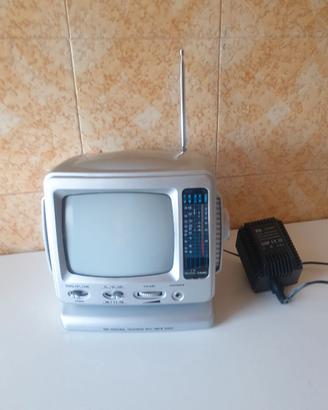 mini televisore