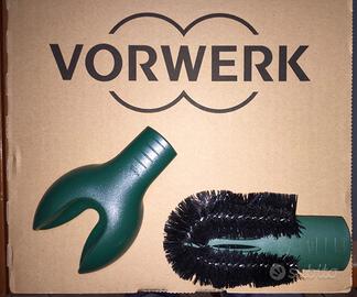 Iris Tulipano - Folletto