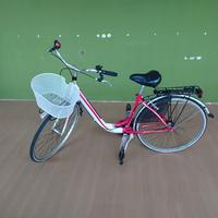Bicicletta per ragazza