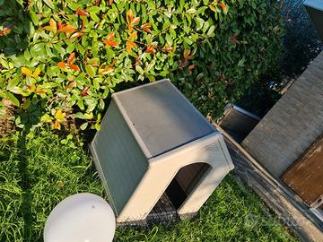 CUCCIA CANE GROSSA TAGLIA