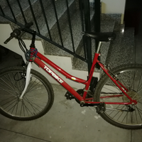 Mountain bike