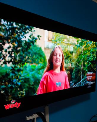 TV LG OLED 55" CX (4K 120Hz HDMI 2.1)