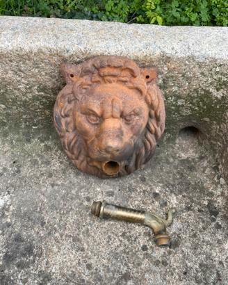 Fontana testa leone + grande vasca in pietra