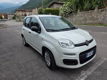 Fiat Panda 1.2 Benzina Easy – 2017 – 29.000 km