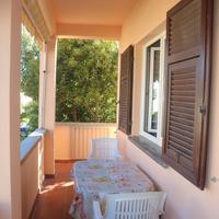 Cecina Mare Settembre 4 vani indipendente