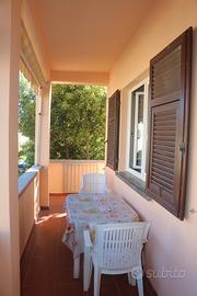 Cecina Mare Settembre 4 vani indipendente