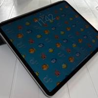 Ipad pro 256 6 gen. Wi - Fi 256 gb