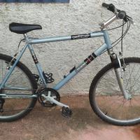 Raider MTB 26
