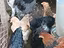 Immagine 4