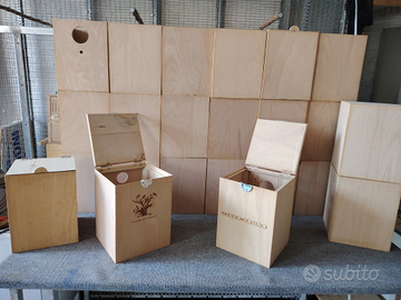 Nidi cove pappagalli