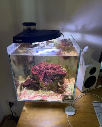 Acquario Newa More 30R – Codice NMO 30R