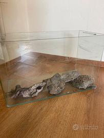 Acquario/terraio