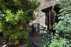2 LOCALI A TREVIGNANO ROMANO