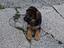 Immagine 5