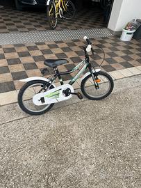 Montainbike raggio 12