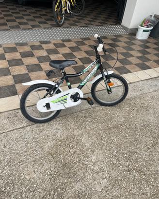 Montainbike raggio 12