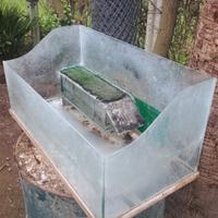 acquario per tartarughe