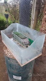 acquario per tartarughe