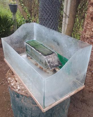 acquario per tartarughe