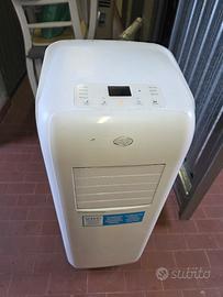 pinguino condizionatore argo