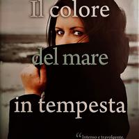 IL COLORE DEL MARE IN TEMPESTA di Karen Viggers
