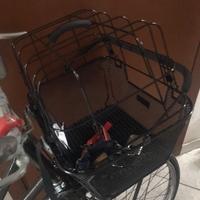 Cesrino bicicletta per animali