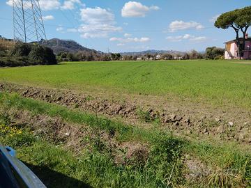 Terreno agricolo loc Battifollo