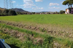 Terreno agricolo loc Battifollo