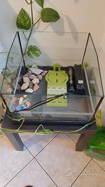 Acquario per tartarughe o pesci 
