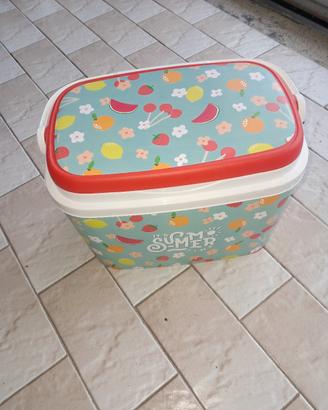frigo portatile