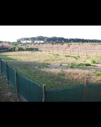 Affitto terreno agricolo San Vincenzo, Livorno