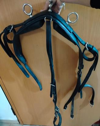 finimenti calesse pony